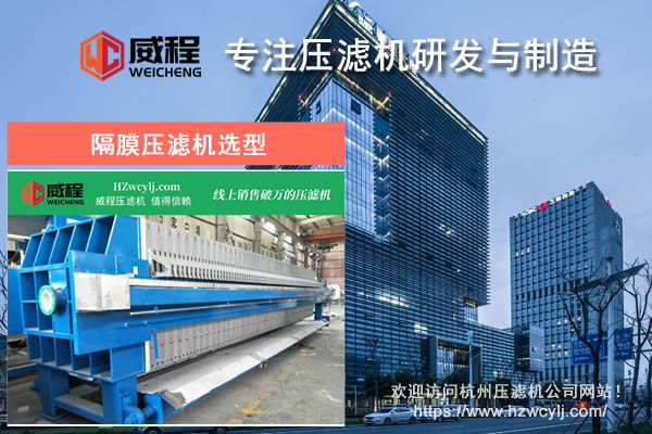怎样进行草莓视频网页版选型 如何保证实用性
